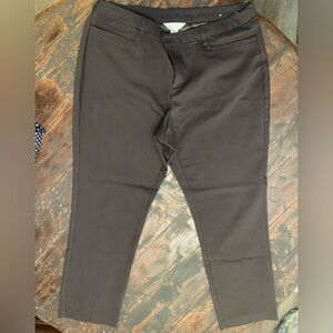 CJ Banks Coffee Dress Pants